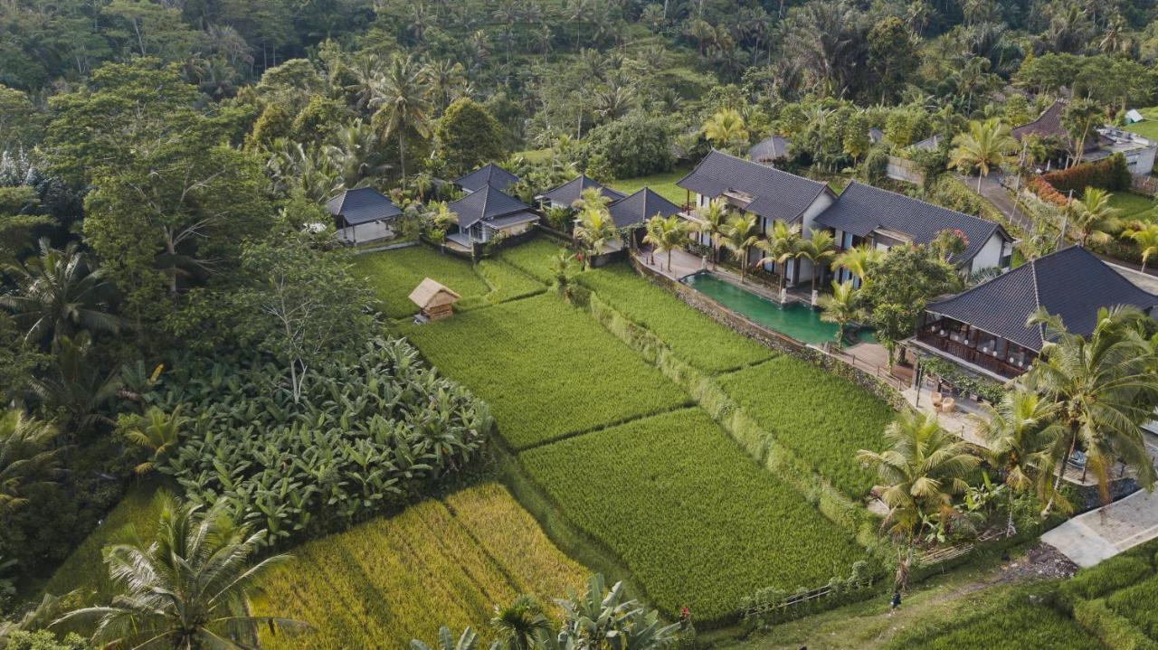 Payangan Pinggala Villa Ubud מראה חיצוני תמונה